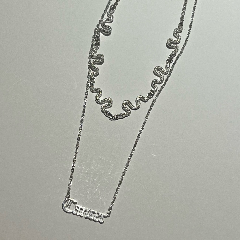 Bundle of 2 Claire's Silver Necklaces: Cancer and Snake